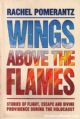 26217 Wings Above The Flames
